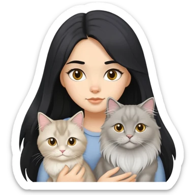 black hair girl with a grey longhair cat and a british longhair golden, two white british longhair  sticker