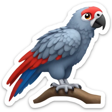 A large parrot. It has gray feathers and a red tail and its head is blue. It is very cute and small and very little annoying but quite noisy. sticker