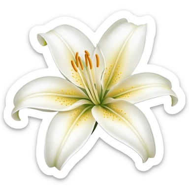 Lily flower sticker