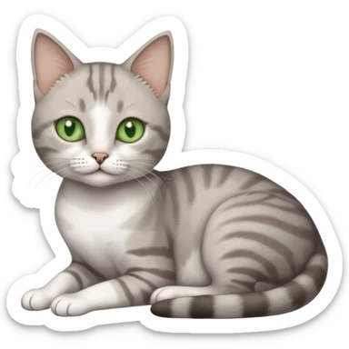 full body tiny short hair grey and white cat with white front legs and green  eyes lying down sticker