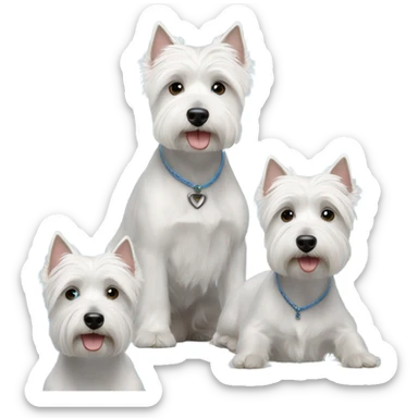  3 westie dogs with lady short gray hair and blue eyes sticker