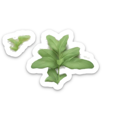 Open Light Sage green holy Bible with a light coloured gardens coming from the sides of the Bible  sticker