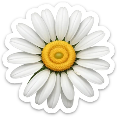 White daisy sticker