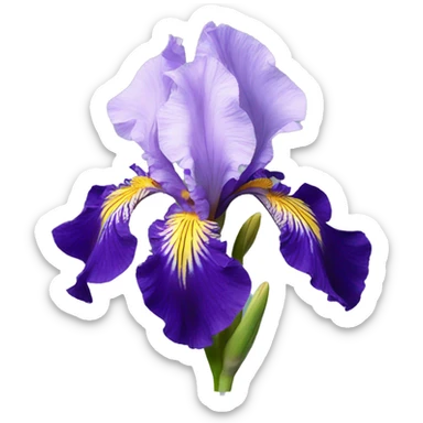 iris flower sticker