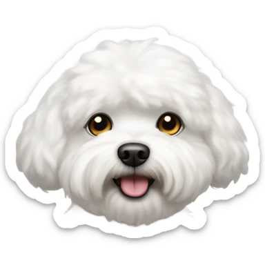 Dog bichon frise sticker