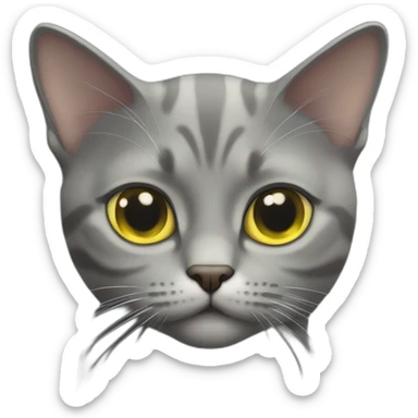 American short hair cat rubby- gray hair-yellow green eyes- The distance between the eyes is relatively far sticker