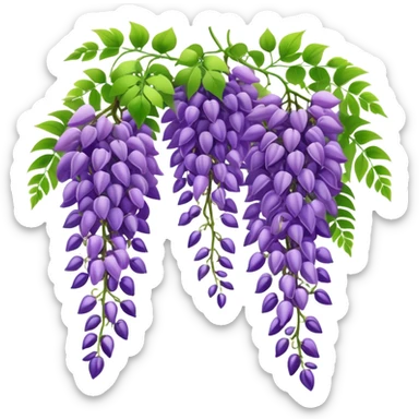 Beautiful wisteria with long cascading clusters of purple flowers hanging like grapes, with delicate green pinnate leaves sticker