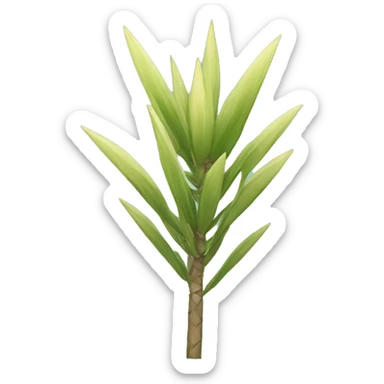 yucca sticker