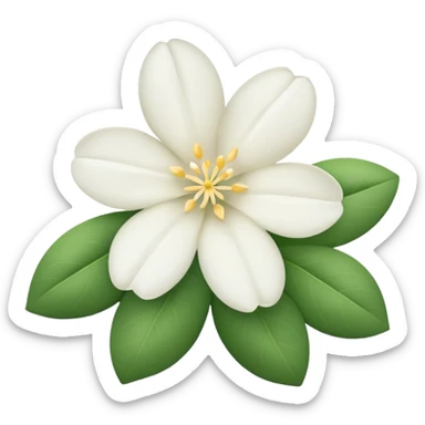 Jasmine flower sticker