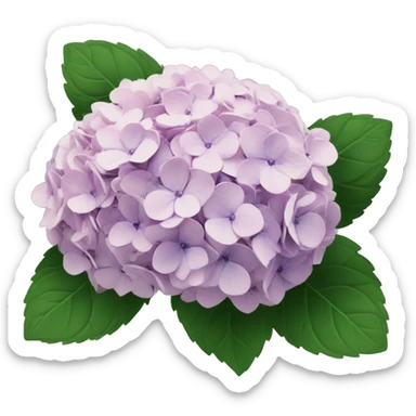 Hydrangea bouquet  sticker
