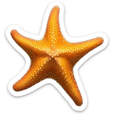 Sea star sticker