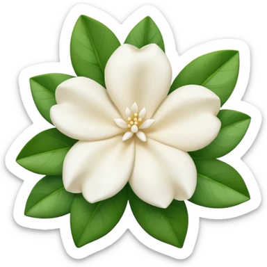 Gardenia blanca sin tantas hojas verdes sticker
