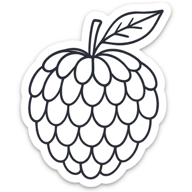 Create a cleaner, simpler hand-drawn black outline illustration of a sugar apple fruit with minimal lines and no fill. The background should be transparent, emphasizing the minimalistic style with clear, crisp black outlines only. sticker