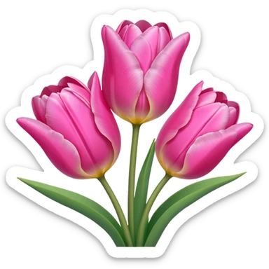 Pink tulips sticker