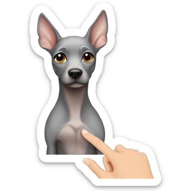Gray hairless dog give hand sticker