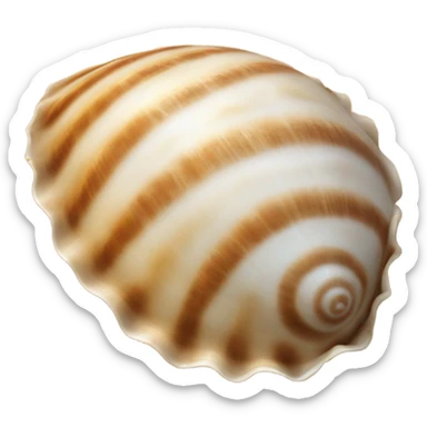 Beach shell  sticker