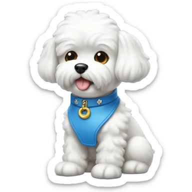 Perro bichon maltes con collar azul, con plaquita en forma de hueso sticker