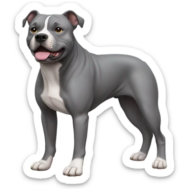 Grey staffy sticker