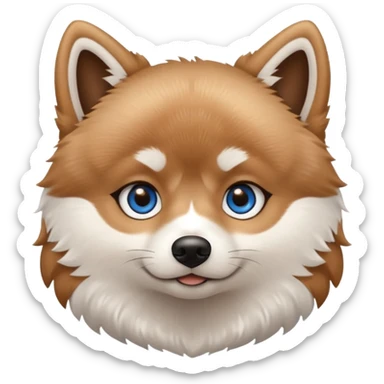 A Brown, light tan and white pomsky with one brown eye and one blue eye. sticker