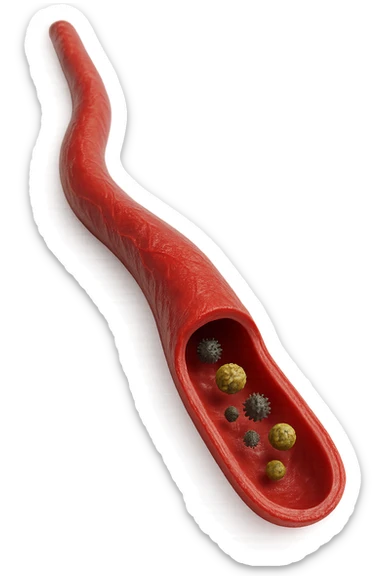 tossine che entrano in una vena umana anatomica realistica, vista dall'alto, iperrealistica 4k sticker