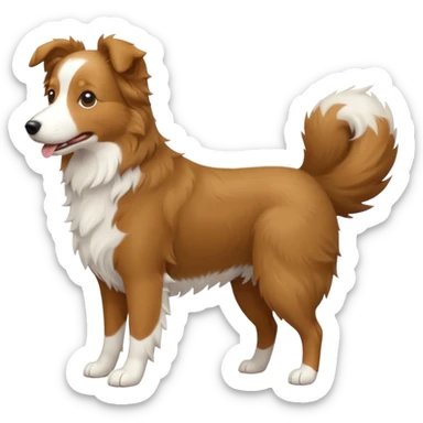 Tan Border Collie tail sticker