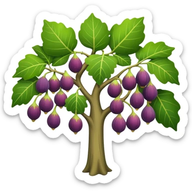fig tree  sticker