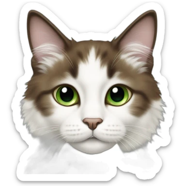 white fluffy bi-colour cat with dark brown ears and upper head, brown ears and green eyes sticker