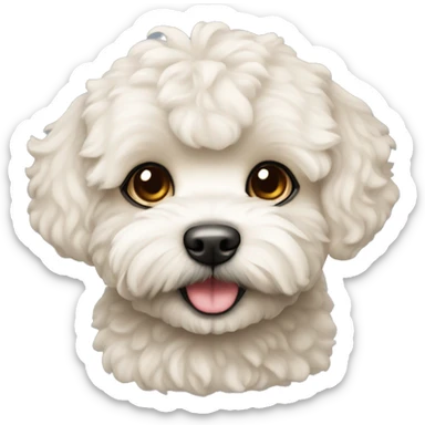 Dog maltipoo color cream sticker