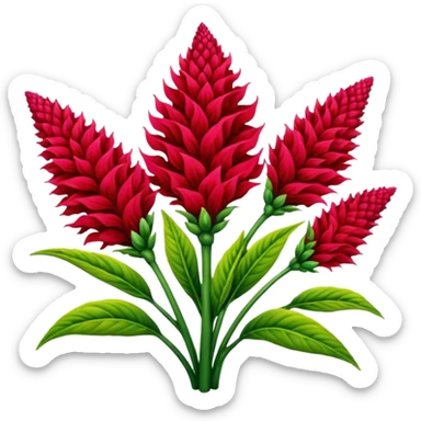 celosia plant sticker