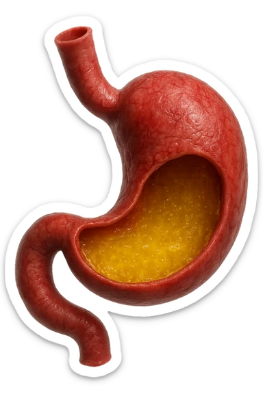 stomaco umano anatomico infiammato con acido giallo all'interno, iperrealistico 4k, isolato su sfondo bianco sticker