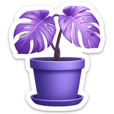 all violet monstera plant in pot sticker