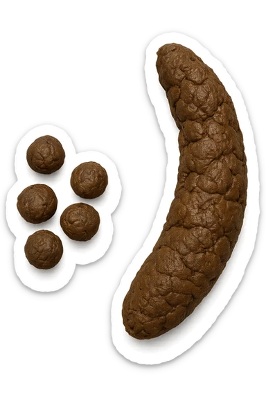 immagine di due tipi di feci iperrealistiche viste dall'alto con descrizione:
Tipo 1 – Feci caprine
Palline dure, separate, simili a noci

Tipo 2 – Feci a forma di salsiccia ma grumose
Massicce e disidratate.
 sticker