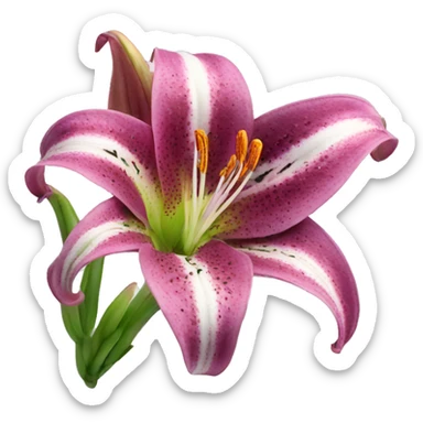 stargazer lily sticker