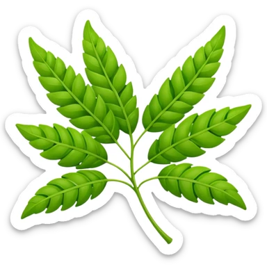 Curry leaves  sticker