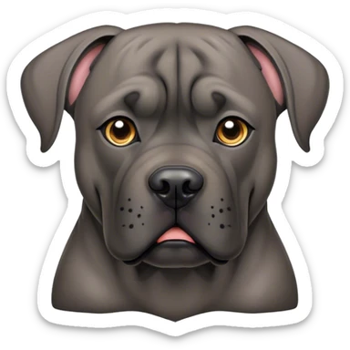 Cane corso with cropped ears sticker