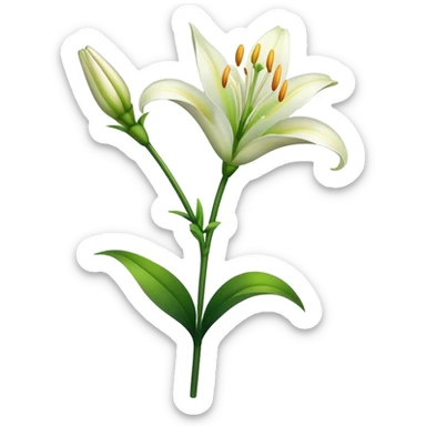 Lily flower stem sticker