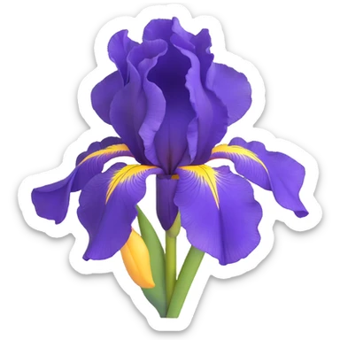 beautiful purple iris flower with yellow center sticker