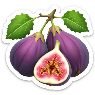 Figs sticker