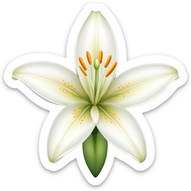 Lily flower  sticker
