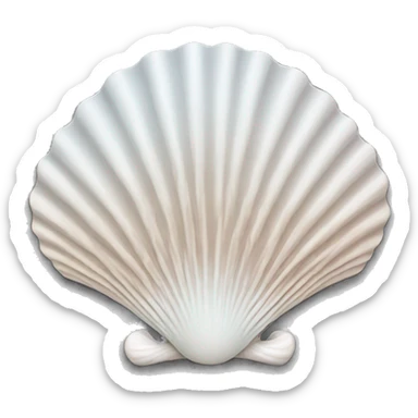 scallop shell sticker
