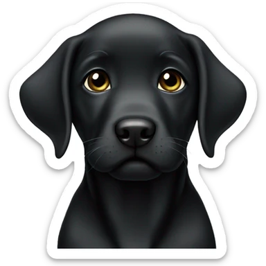 Black Labrador puppy  sticker