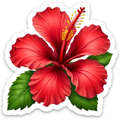 Hibiscus flowers  sticker