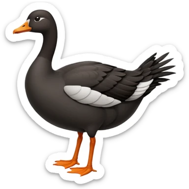 black goose sticker