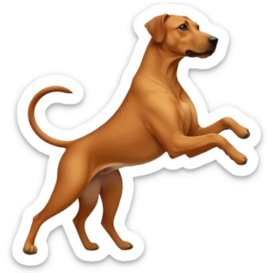 Ein rodisian rideback hund der tanzt  sticker