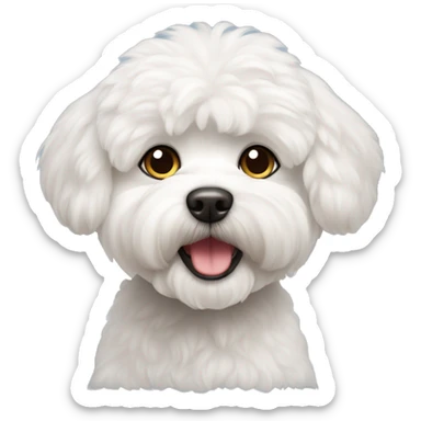 Perro bichon maltes sticker