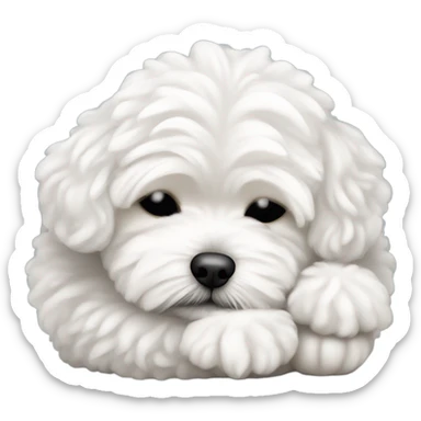 White maltipoo sleeping sticker