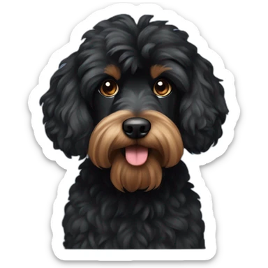Big Black Caniche croisé yorshire sticker