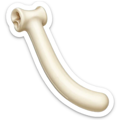 singular long bone sticker