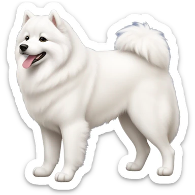 Samoyed full body sticker
