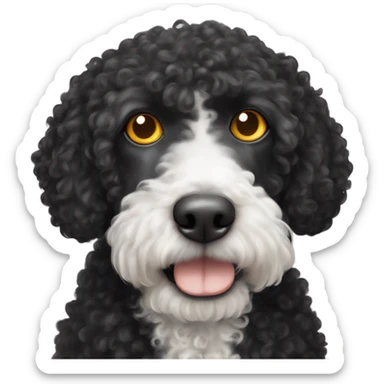 Spanish curly water dog black with white spot on its chest together with orange cat that has yellow eyes sticker